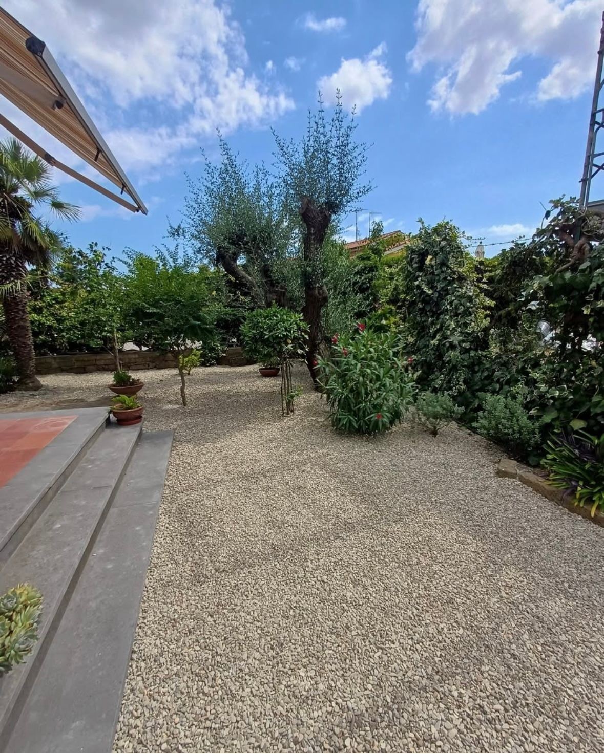 Creazioni giardini a Viterbo